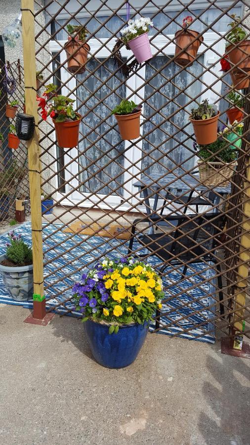 Lavenderescape. Homestay